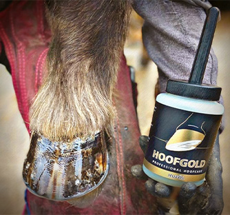 hufpflege.jpg